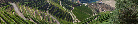 Douro Valley near Pinhão