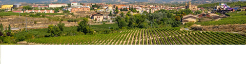 View of Eltziego town in the Rioja alavesa at summer, rounded by vineyards and the winery of the Marques de Riscal