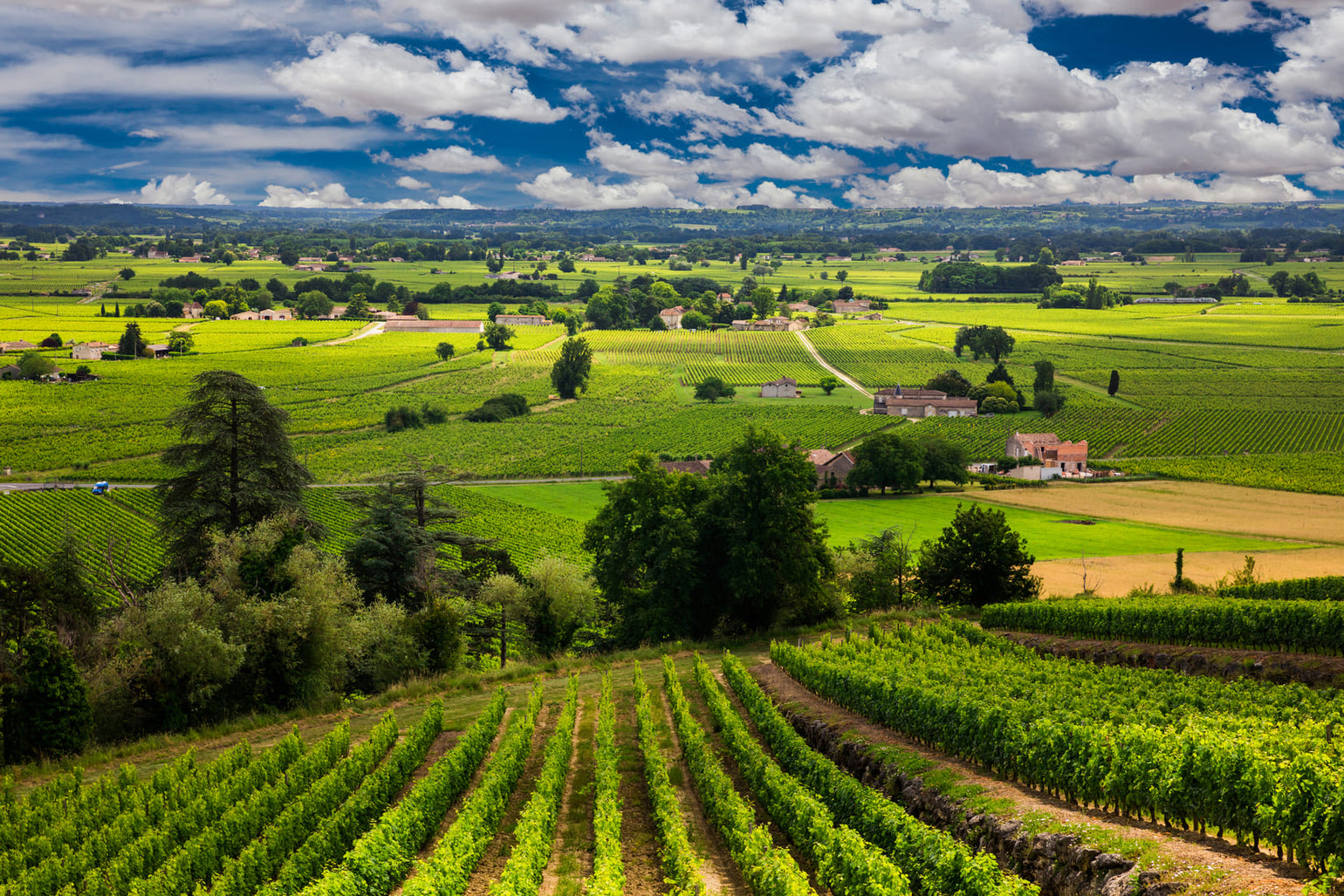 French Ridge Wine Discover French Wine Regions: Guide To French Wines