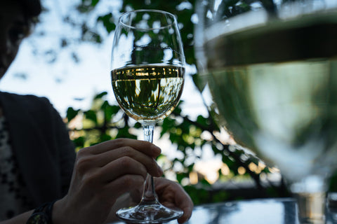 Sauvignon Blanc: Wine Lover's Guide