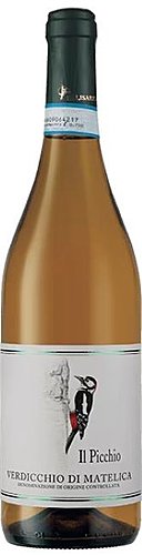 Il Picchio Verdicchio di Matelica