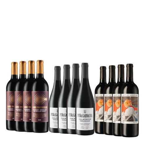 3 Bold, Unique Wines; One Amazing Bundle!